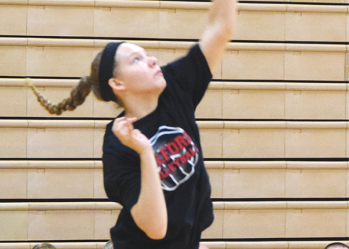 MilfordVB
